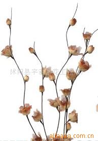 供應葉脈花、龍柳、三叉木、龍桑、蘆葦專業指南