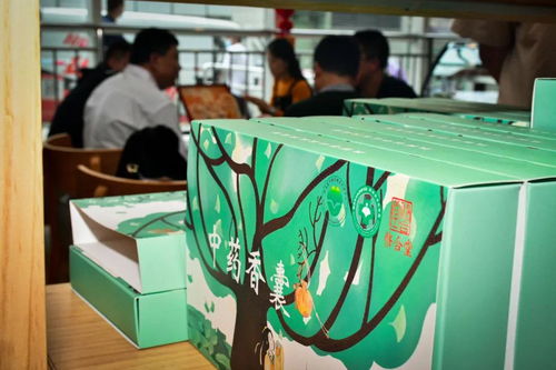 省中研院省中醫院中醫藥文化養生保健產品引發媒體關注，推動中醫養生保健服務發展